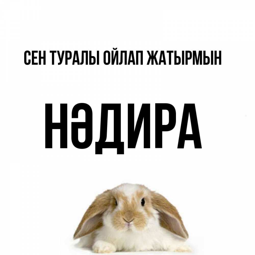 Күн сайын ашық хат с именем, НӘДИРА Сен туралы ойлап жатырмын подписать своими руками онлайн Онлайн тегін жүктеп алу тілектері бар керемет карта 