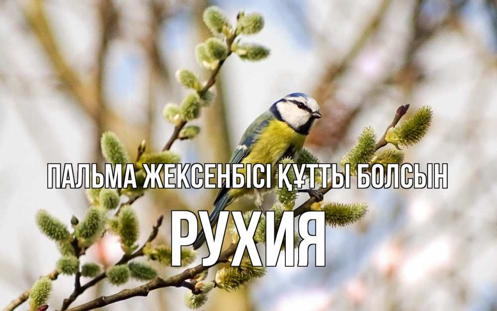 Күн сайын ашық хат с именем, РУХИЯ Пальма жексенбісі құтты болсын верба Онлайн тегін жүктеп алу тілектері бар керемет карта 