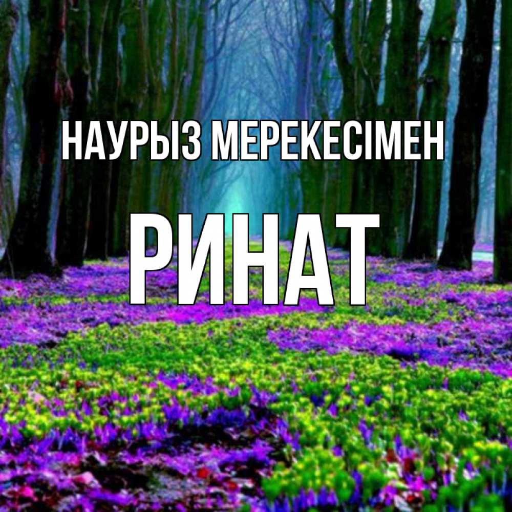 Күн сайын ашық хат с именем, Ринат Наурыз мерекесімен фиолетовые цветы в лесу 1 Онлайн тегін жүктеп алу тілектері бар керемет карта 