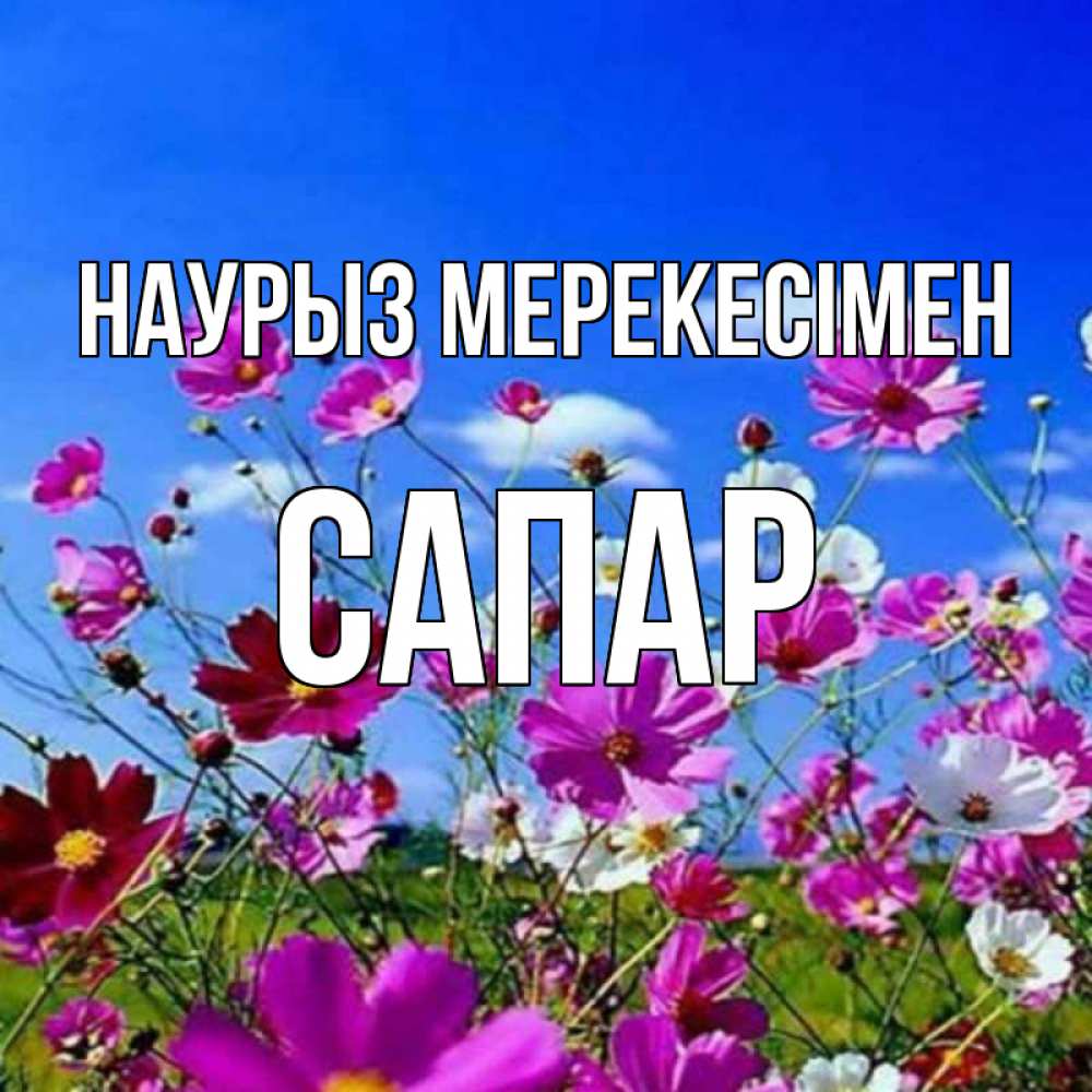 Күн сайын ашық хат с именем, САПАР Наурыз мерекесімен цветы Онлайн тегін жүктеп алу тілектері бар керемет карта 
