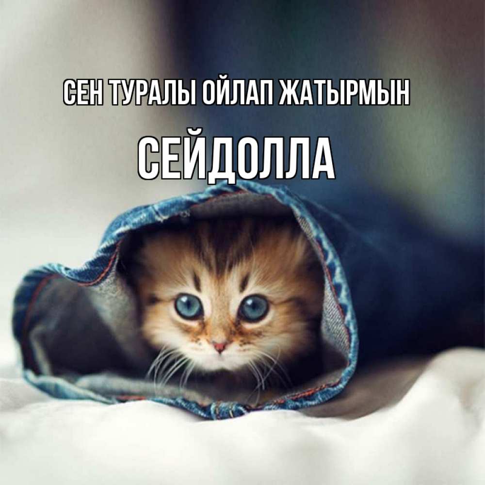 Күн сайын ашық хат с именем, СЕЙДОЛЛА Сен туралы ойлап жатырмын мне без тебя плохо Онлайн тегін жүктеп алу тілектері бар керемет карта 