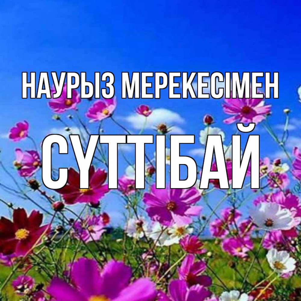 Күн сайын ашық хат с именем, СҮТТІБАЙ Наурыз мерекесімен цветы Онлайн тегін жүктеп алу тілектері бар керемет карта 