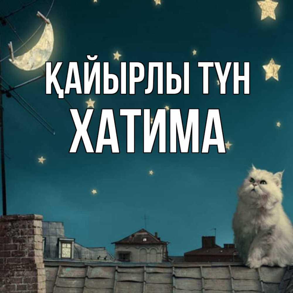 Күн сайын ашық хат с именем, ХАТИМА Қайырлы түн белый кот сидит на крыше Онлайн тегін жүктеп алу тілектері бар керемет карта 