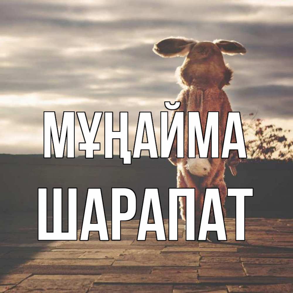 Күн сайын ашық хат с именем, ШАРАПАТ Мұңайма со спины Онлайн тегін жүктеп алу тілектері бар керемет карта 