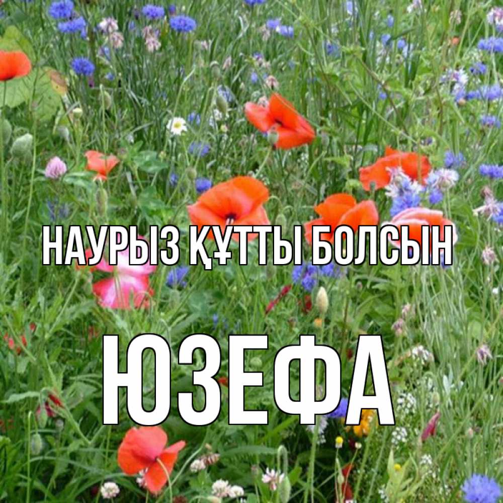 Күн сайын ашық хат с именем, Юзефа Наурыз құтты болсын наурыз  4 Онлайн тегін жүктеп алу тілектері бар керемет карта 