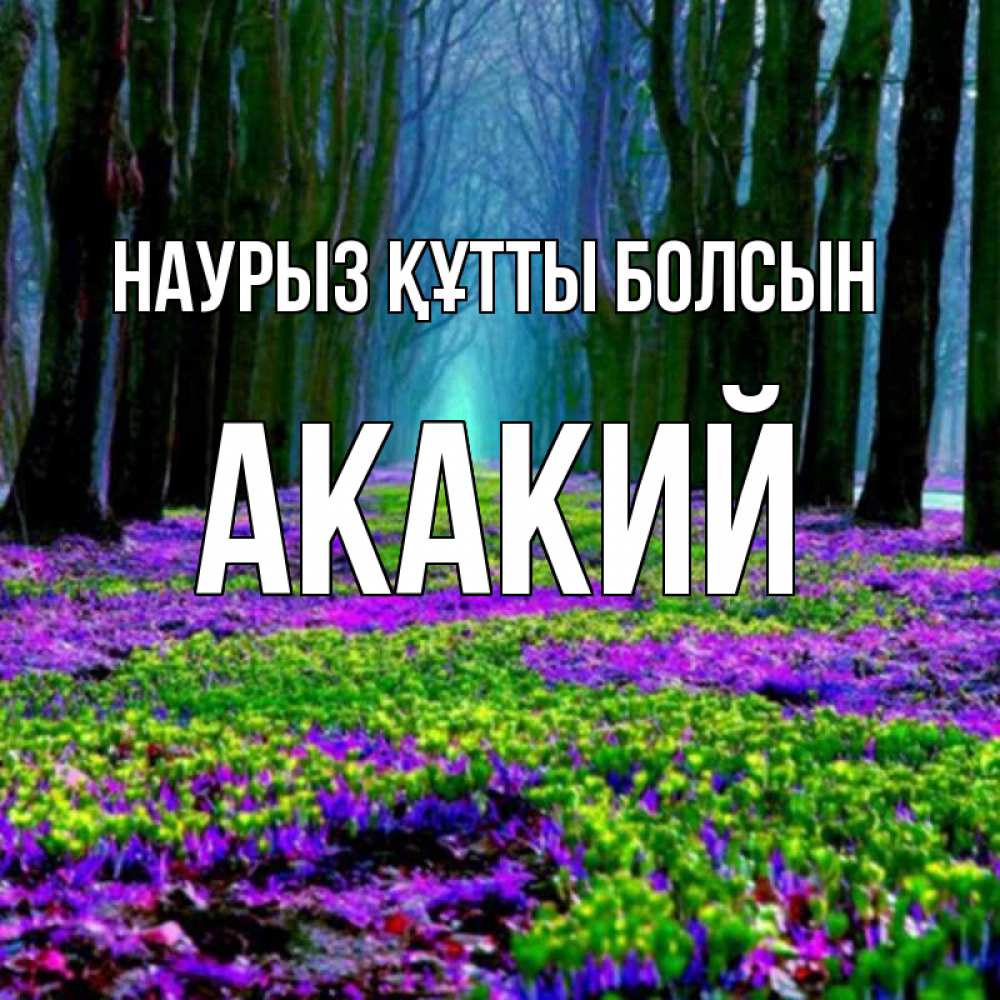 Күн сайын ашық хат с именем, Акакий Наурыз құтты болсын фиолетовые цветы в лесу 1 Онлайн тегін жүктеп алу тілектері бар керемет карта 