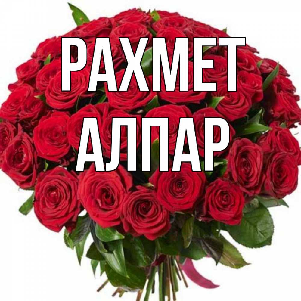 Күн сайын ашық хат с именем, Алпар рахмет букет красных роз Онлайн тегін жүктеп алу тілектері бар керемет карта 