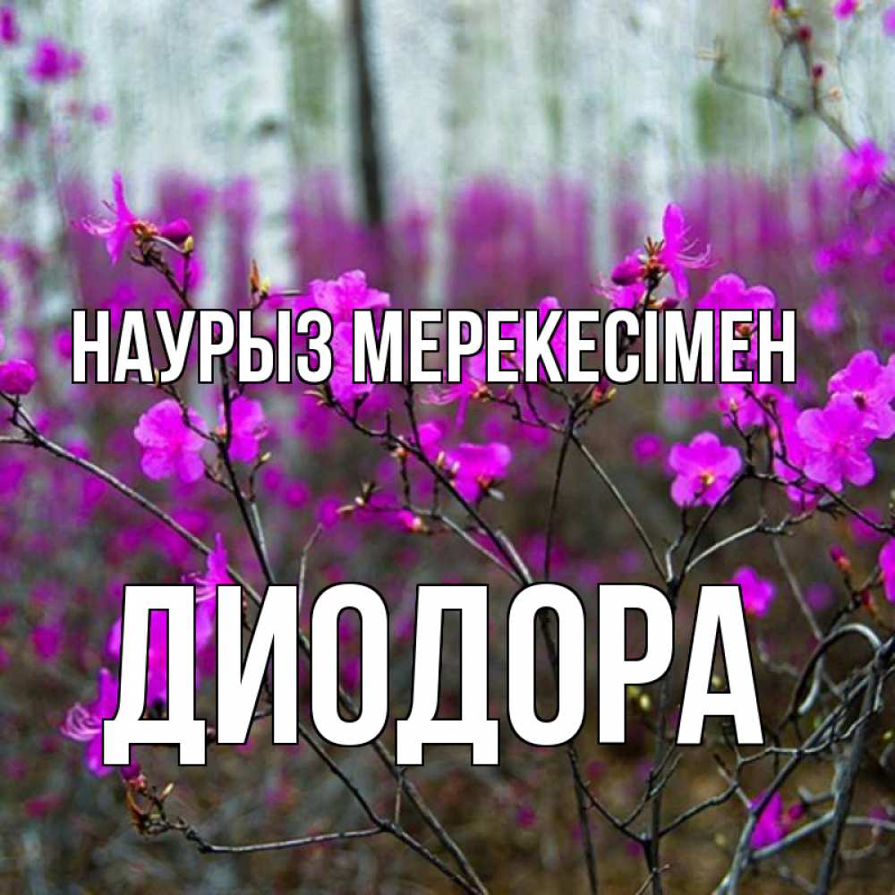 Күн сайын ашық хат с именем, Диодора Наурыз мерекесімен дикие цветы Онлайн тегін жүктеп алу тілектері бар керемет карта 