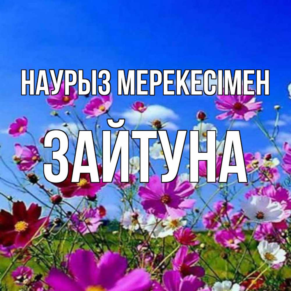 Күн сайын ашық хат с именем, ЗАЙТУНА Наурыз мерекесімен цветы Онлайн тегін жүктеп алу тілектері бар керемет карта 