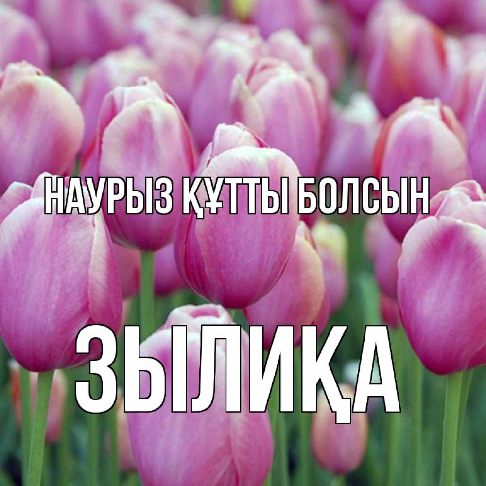 Күн сайын ашық хат с именем, ЗЫЛИҚА Наурыз құтты болсын на наурыз  день 3 Онлайн тегін жүктеп алу тілектері бар керемет карта 