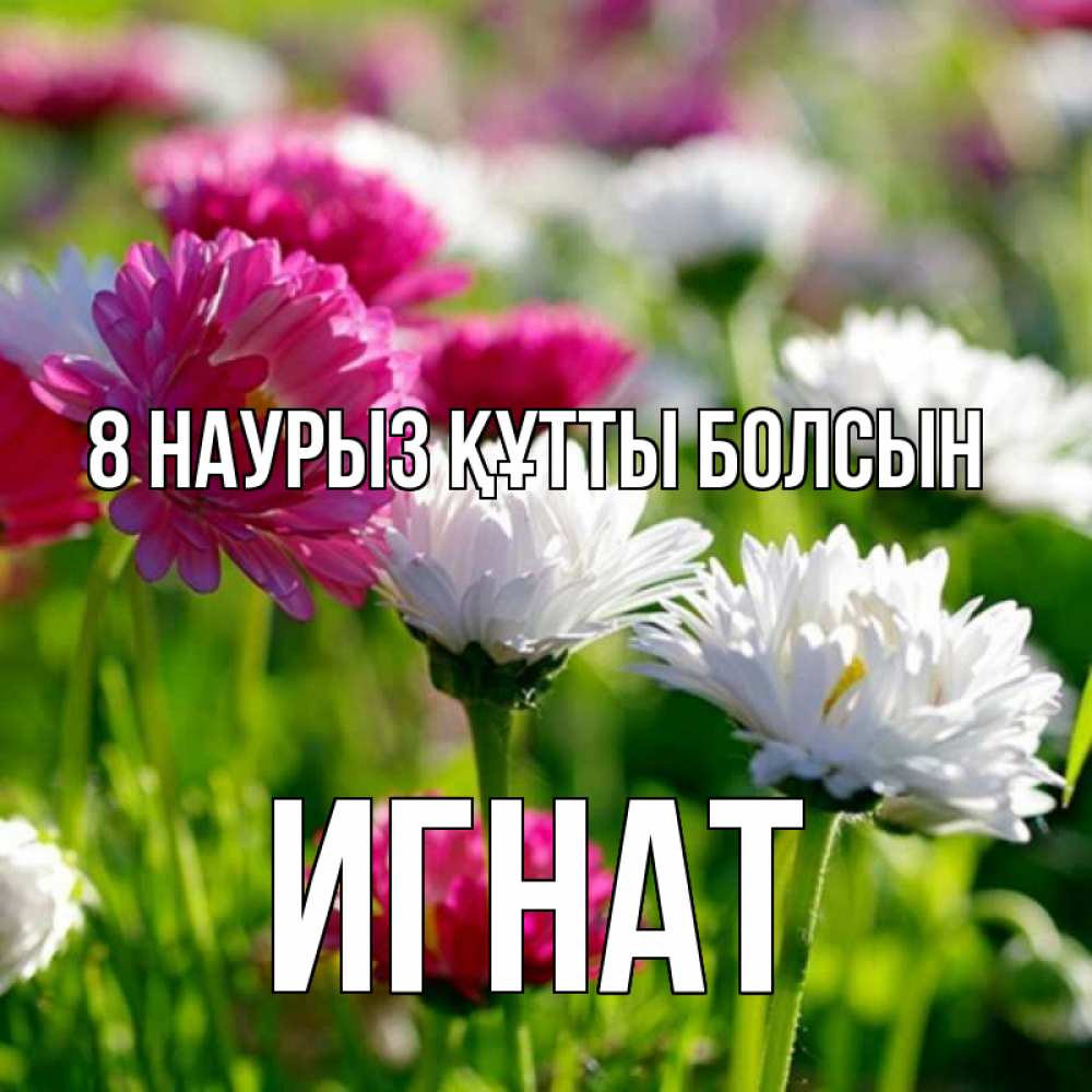 Күн сайын ашық хат с именем, Игнат 8 наурыз құтты болсын международный женский день 1 Онлайн тегін жүктеп алу тілектері бар керемет карта 