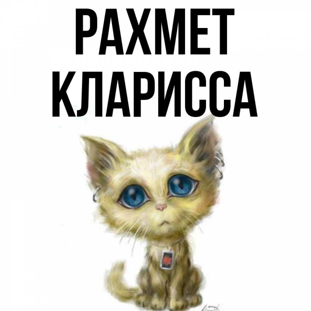 Күн сайын ашық хат с именем, Кларисса рахмет рисованный кот благодарит вас Онлайн тегін жүктеп алу тілектері бар керемет карта 