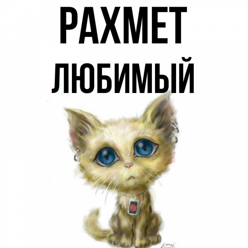 Күн сайын ашық хат с именем, Любимый рахмет рисованный кот благодарит вас Онлайн тегін жүктеп алу тілектері бар керемет карта 