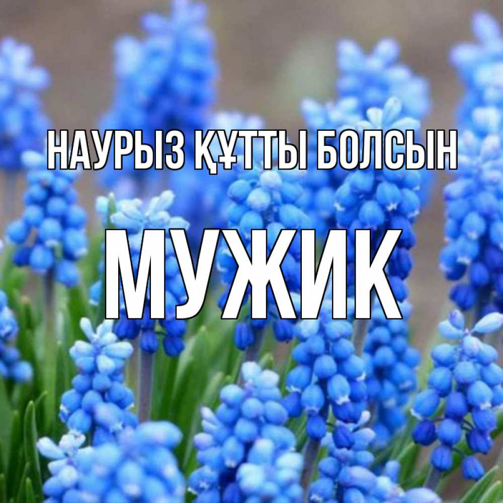 Күн сайын ашық хат с именем, Мужик Наурыз құтты болсын Поздравительная открытка для женщин с цветами на праздничную дату Онлайн тегін жүктеп алу тілектері бар керемет карта 