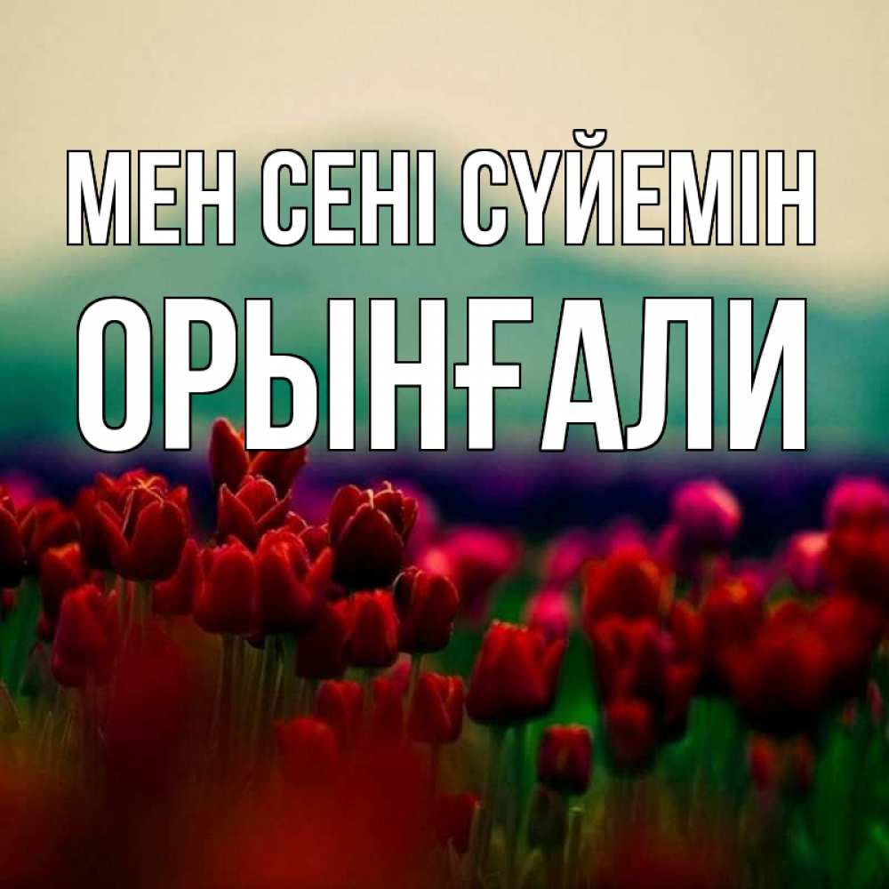 Күн сайын ашық хат с именем, ОРЫНҒАЛИ Мен сені сүйемін тюльпаны 4 Онлайн тегін жүктеп алу тілектері бар керемет карта 