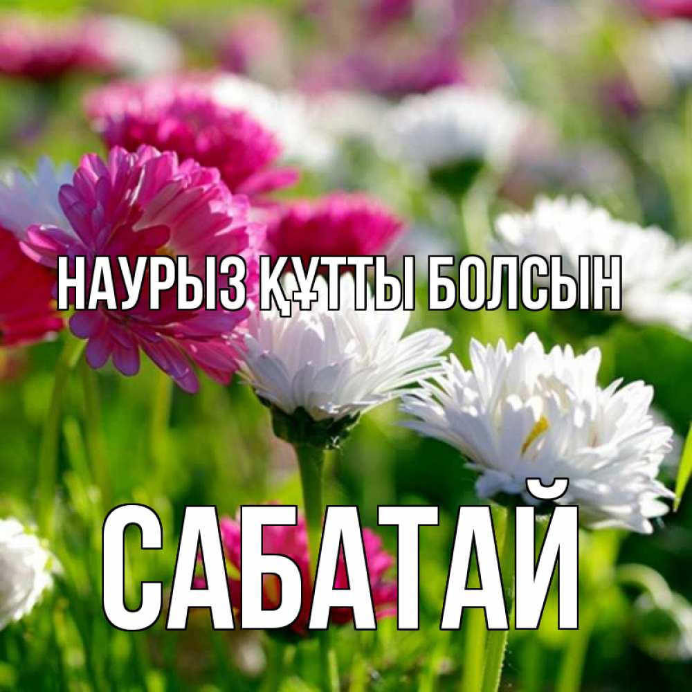 Күн сайын ашық хат с именем, САБАТАЙ Наурыз құтты болсын наурыз Онлайн тегін жүктеп алу тілектері бар керемет карта 