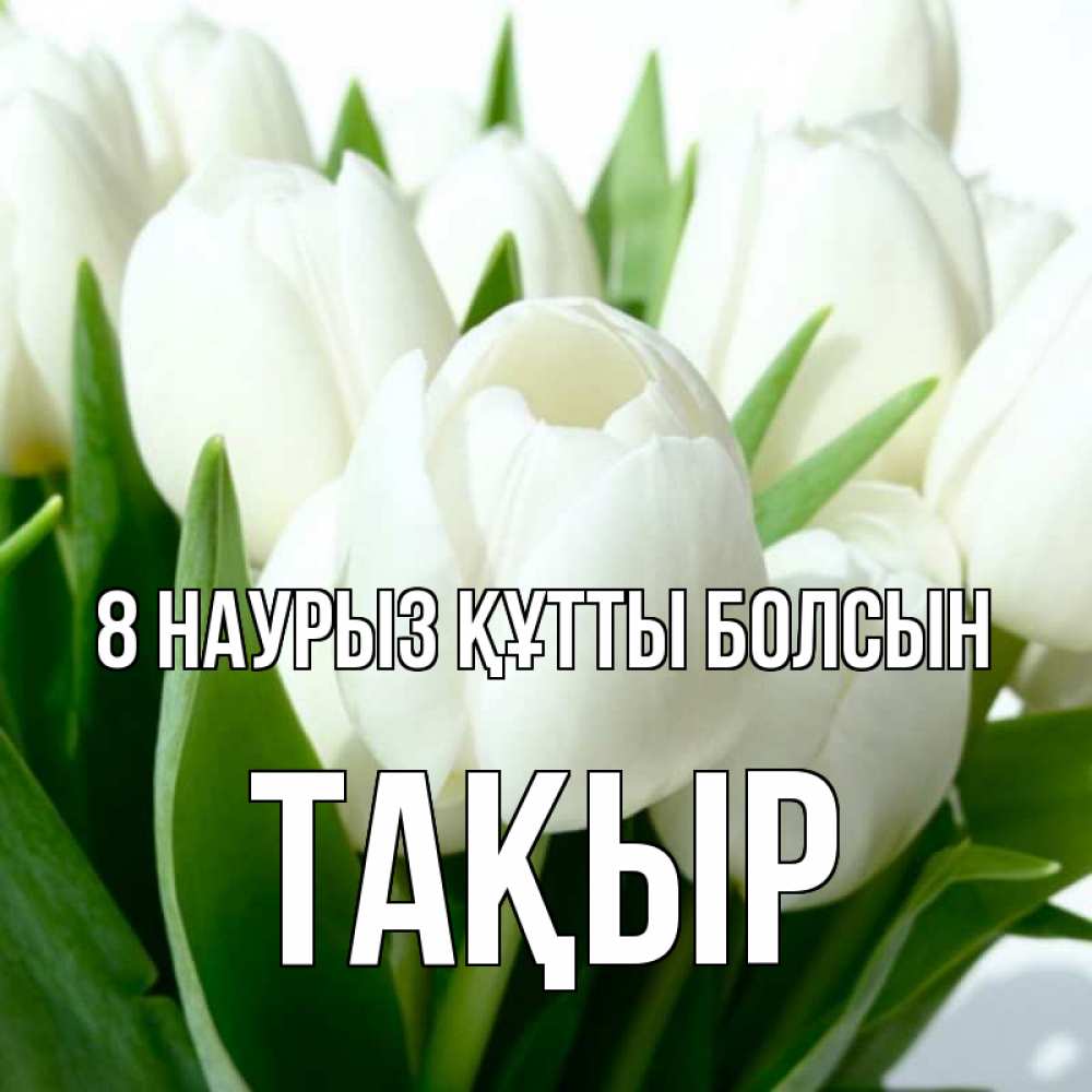 Күн сайын ашық хат с именем, ТАҚЫР 8 наурыз құтты болсын цветы Онлайн тегін жүктеп алу тілектері бар керемет карта 
