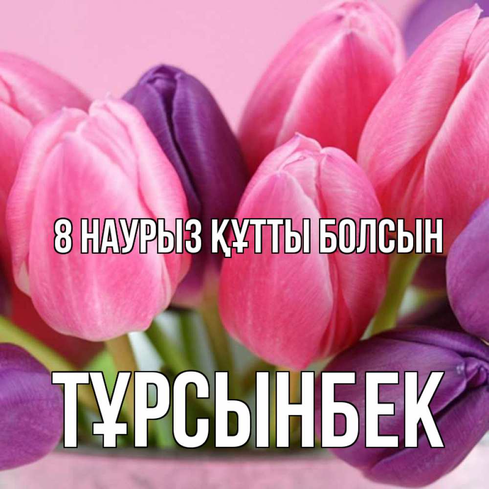 Күн сайын ашық хат с именем, ТҰРСЫНБЕК 8 наурыз құтты болсын маме 1 Онлайн тегін жүктеп алу тілектері бар керемет карта 