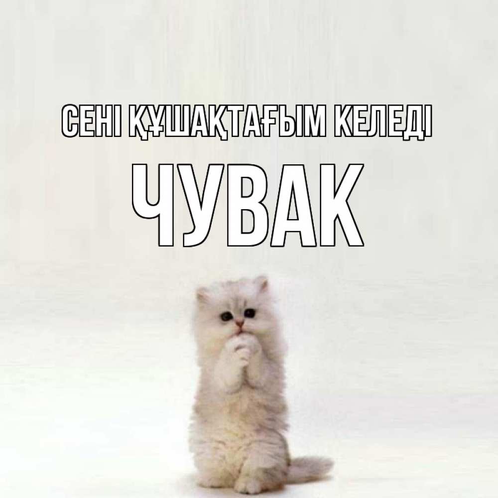 Күн сайын ашық хат с именем, Чувак сені құшақтағым келеді открытки с креативными подписями Онлайн тегін жүктеп алу тілектері бар керемет карта 