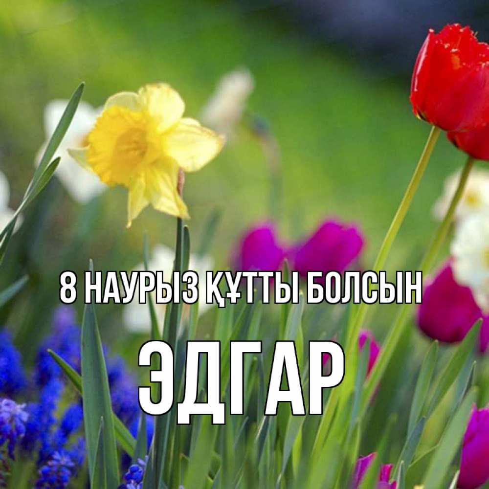 Күн сайын ашық хат с именем, Эдгар 8 наурыз құтты болсын международный женский день 3 Онлайн тегін жүктеп алу тілектері бар керемет карта 