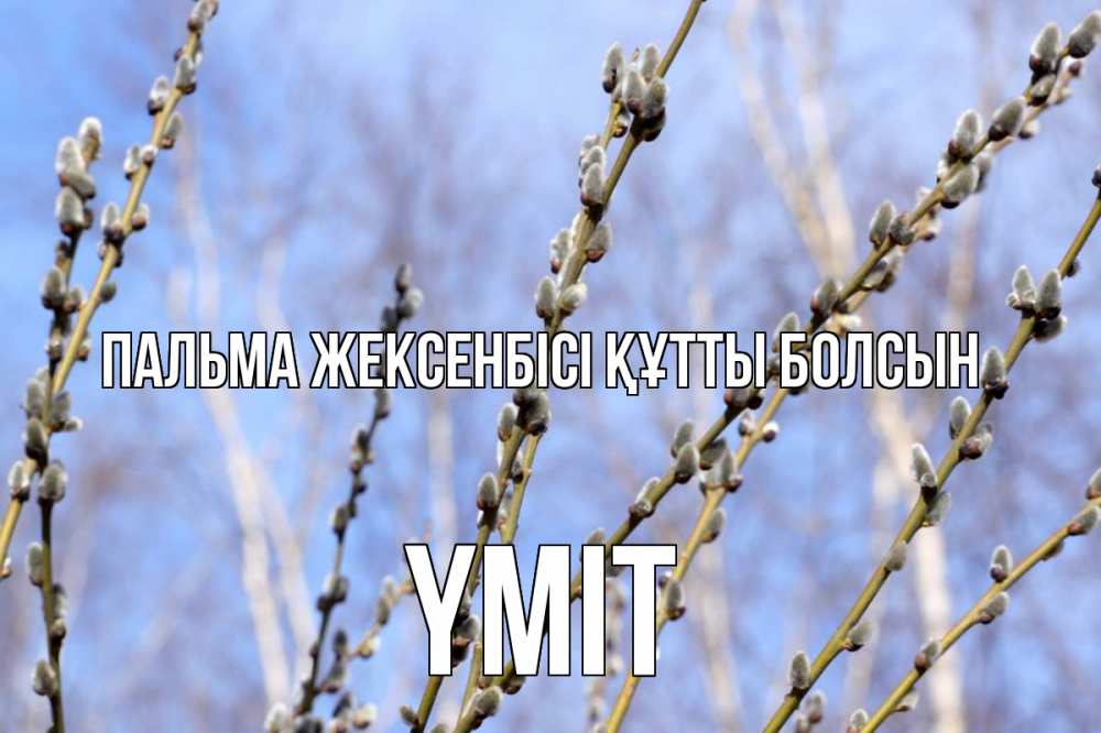 Күн сайын ашық хат с именем, ҮМІТ Пальма жексенбісі құтты болсын верба Онлайн тегін жүктеп алу тілектері бар керемет карта 