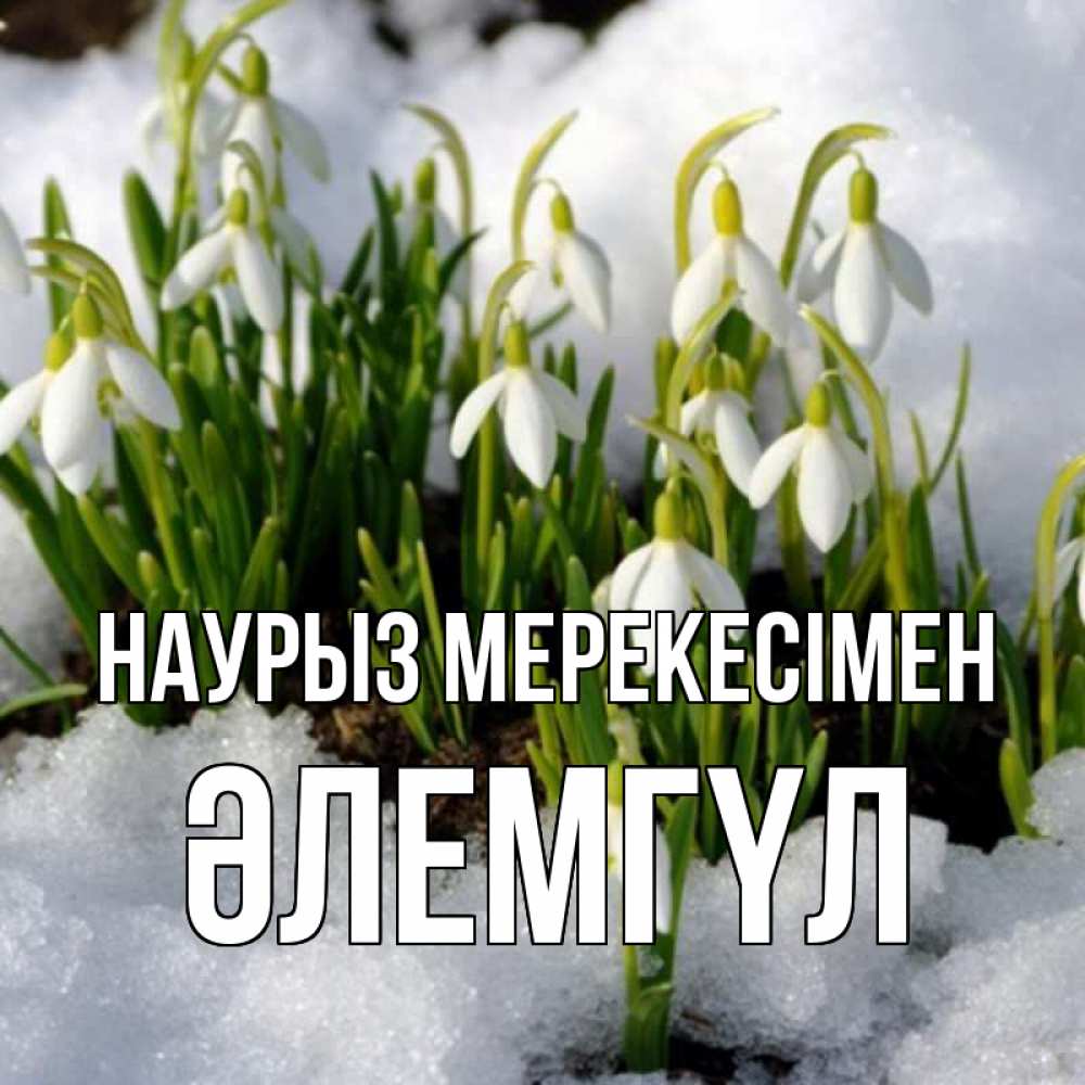 Күн сайын ашық хат с именем, ӘЛЕМГҮЛ Наурыз мерекесімен цветы весенние Онлайн тегін жүктеп алу тілектері бар керемет карта 
