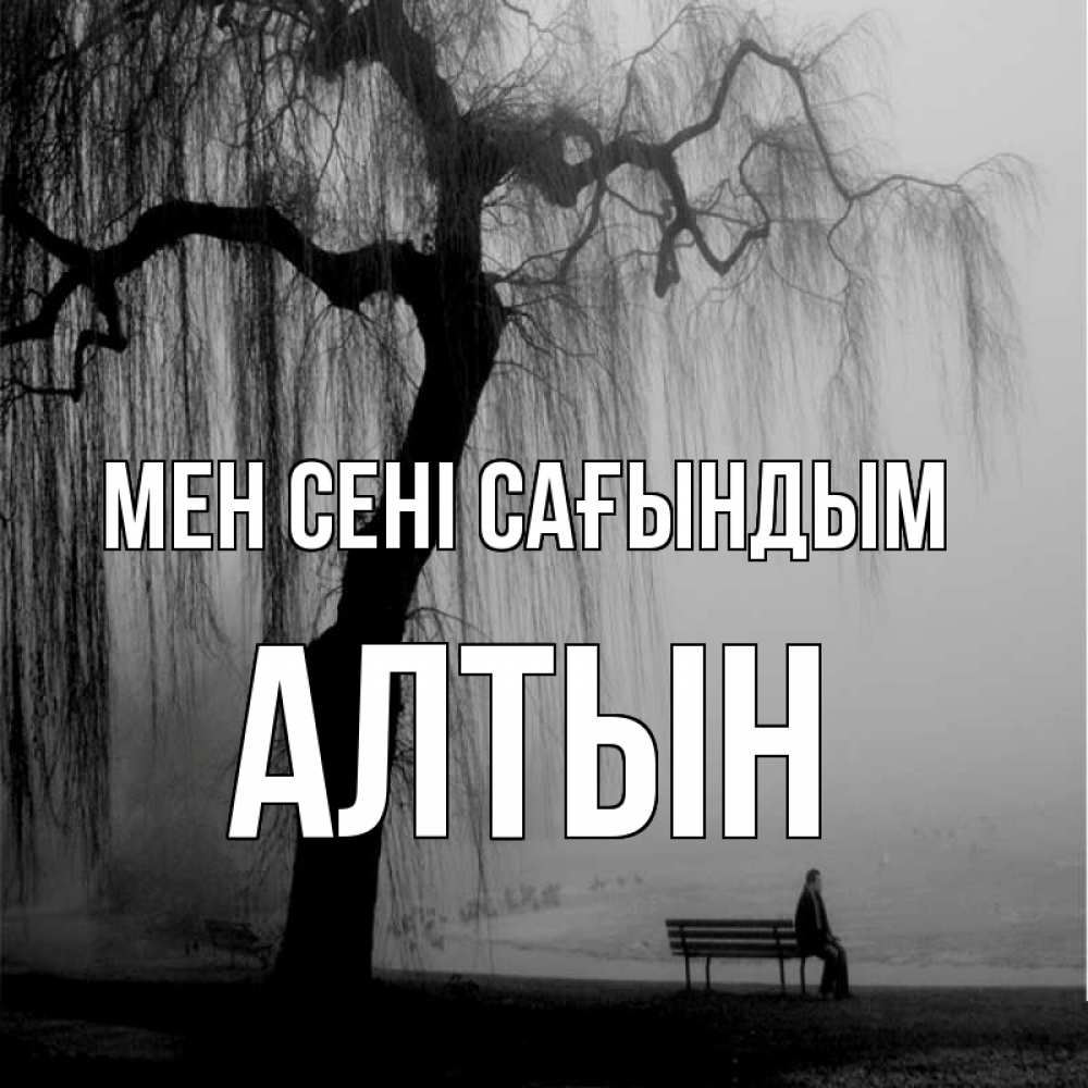 Күн сайын ашық хат с именем, АЛТЫН Мен сені сағындым лавочка под деревом я жду тебя Онлайн тегін жүктеп алу тілектері бар керемет карта 