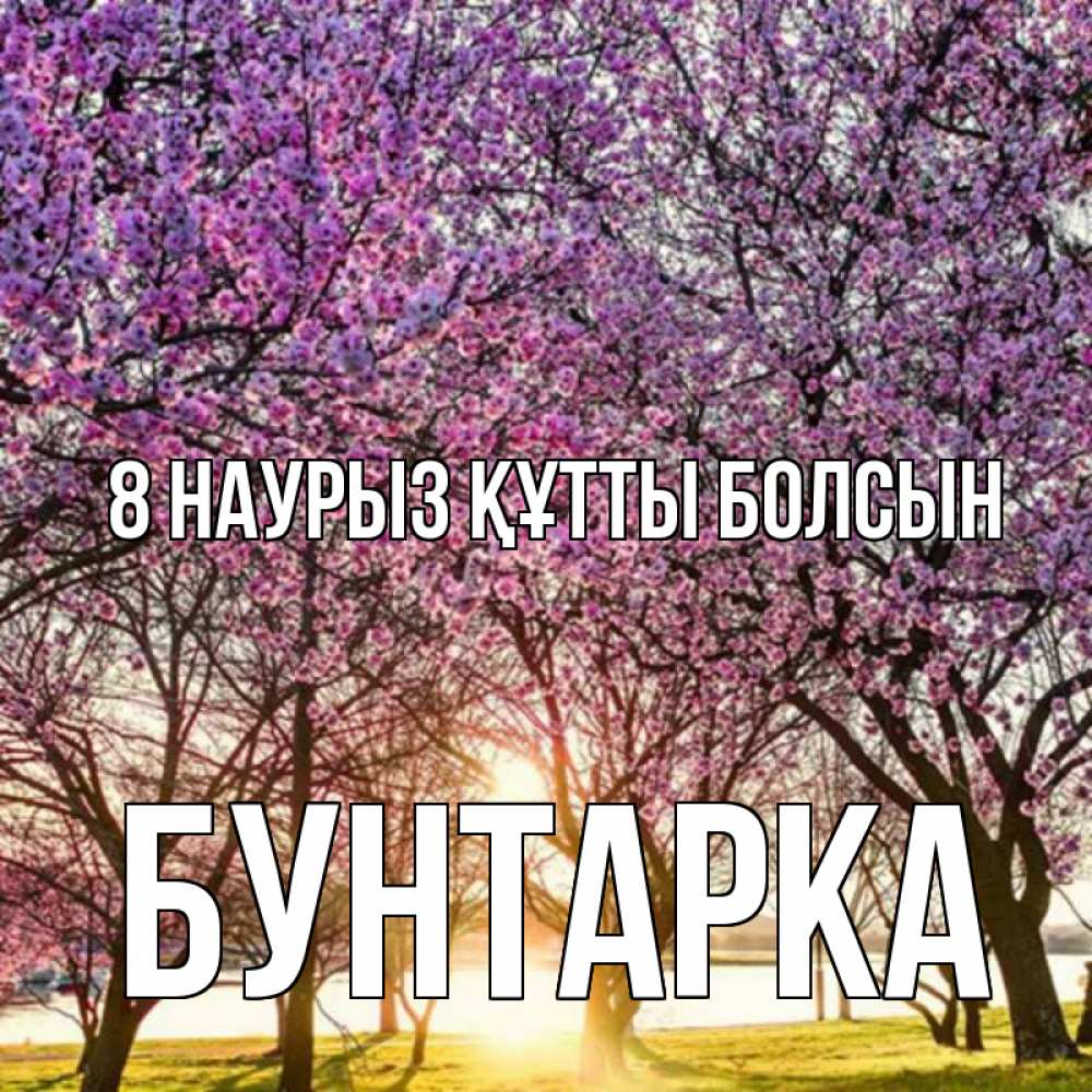 Күн сайын ашық хат с именем, Бунтарка 8 наурыз құтты болсын международный женский день Онлайн тегін жүктеп алу тілектері бар керемет карта 