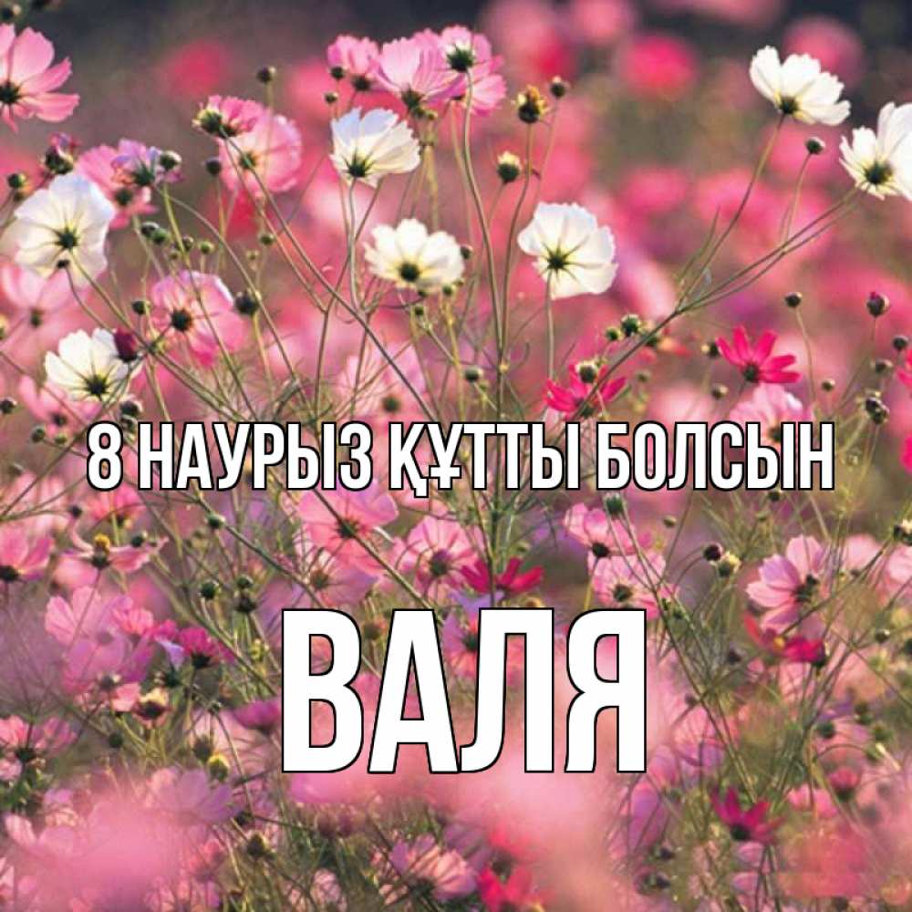 Күн сайын ашық хат с именем, Валя 8 наурыз құтты болсын красиво 1 Онлайн тегін жүктеп алу тілектері бар керемет карта 