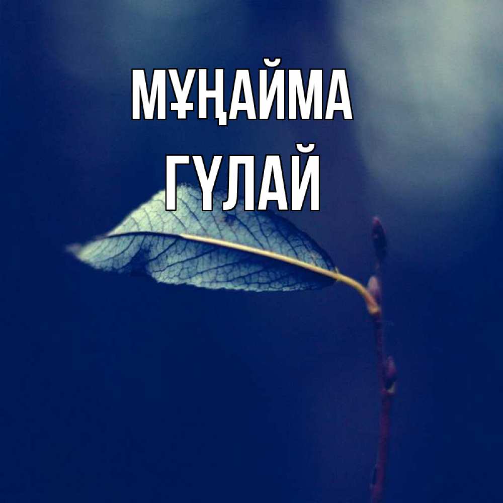 Күн сайын ашық хат с именем, ГҮЛАЙ Мұңайма растение Онлайн тегін жүктеп алу тілектері бар керемет карта 