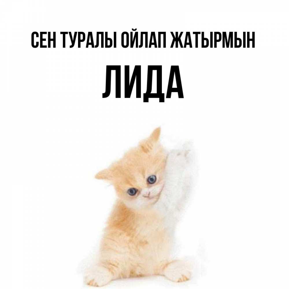 Күн сайын ашық хат с именем, Лида Сен туралы ойлап жатырмын зверушки и милота Онлайн тегін жүктеп алу тілектері бар керемет карта 