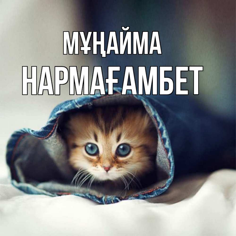 Күн сайын ашық хат с именем, НАРМАҒАМБЕТ Мұңайма рыжик котик Онлайн тегін жүктеп алу тілектері бар керемет карта 