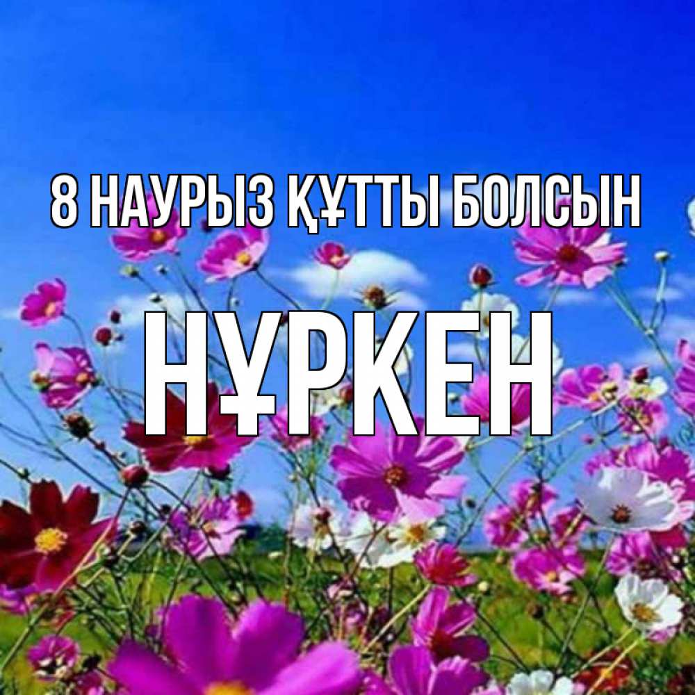 Күн сайын ашық хат с именем, Нұркен 8 наурыз құтты болсын цветы Онлайн тегін жүктеп алу тілектері бар керемет карта 