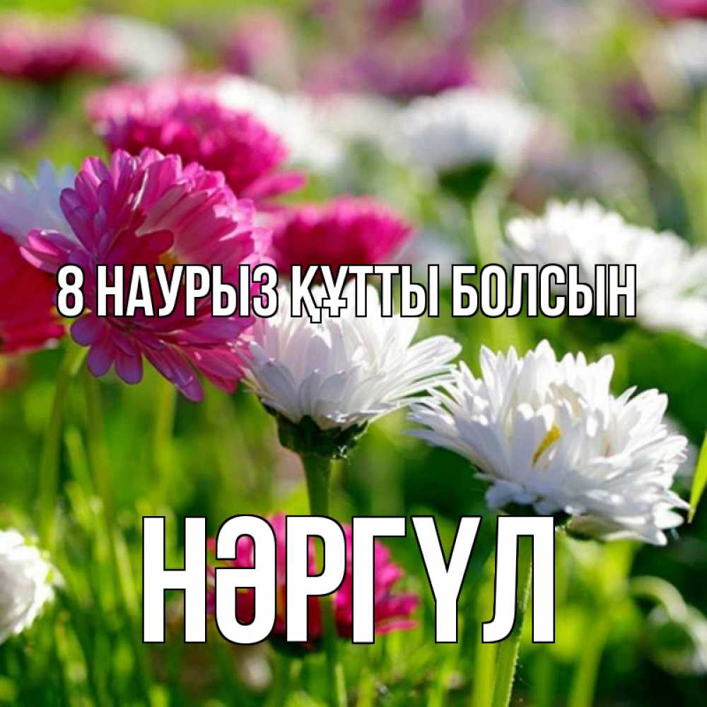 Күн сайын ашық хат с именем, НӘРГҮЛ 8 наурыз құтты болсын международный женский день 1 Онлайн тегін жүктеп алу тілектері бар керемет карта 