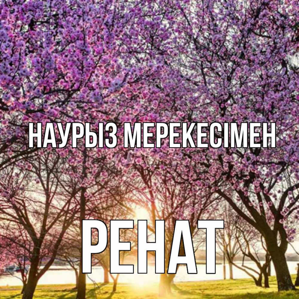 Күн сайын ашық хат с именем, РЕНАТ Наурыз мерекесімен праздник весны наурыз Онлайн тегін жүктеп алу тілектері бар керемет карта 