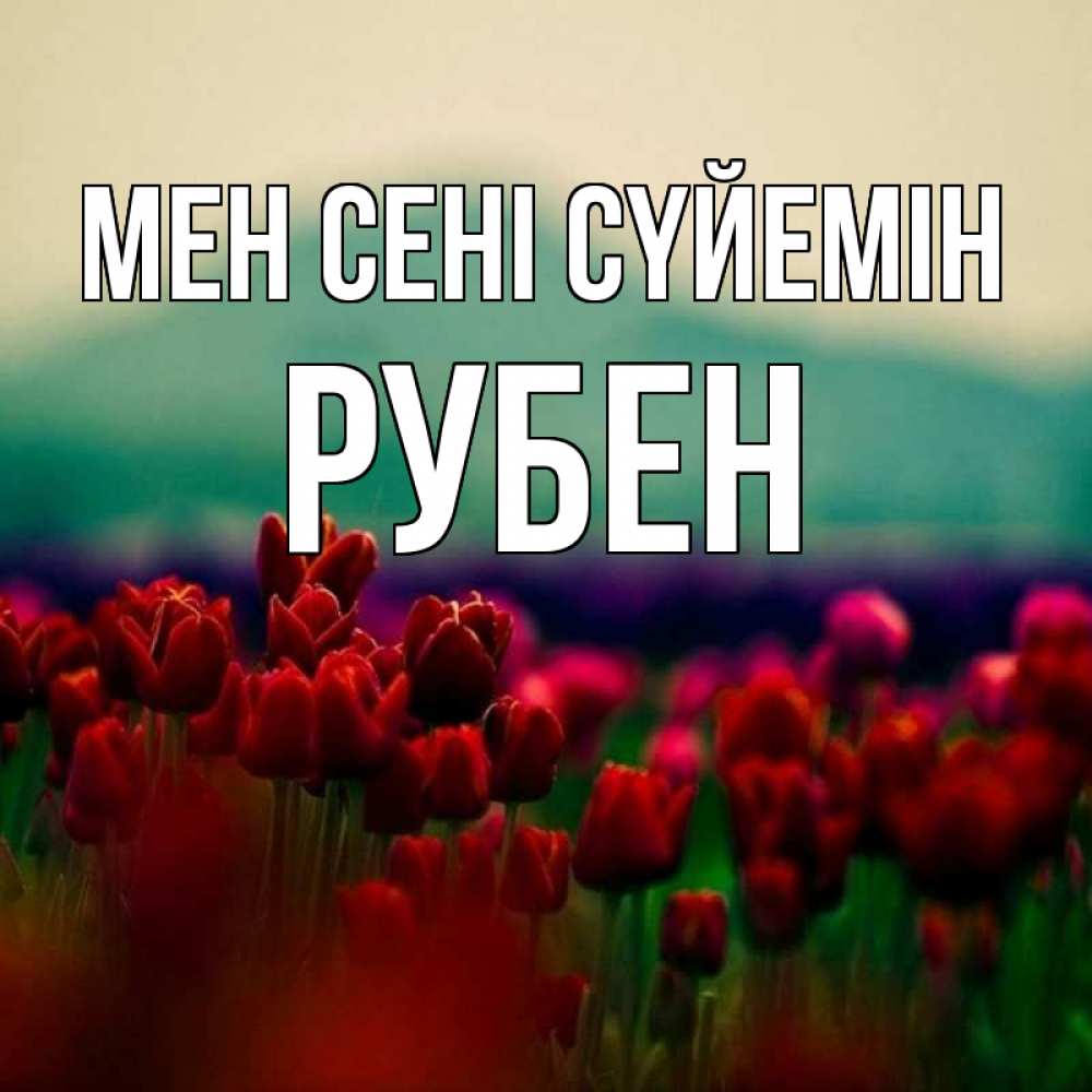 Күн сайын ашық хат с именем, Рубен Мен сені сүйемін тюльпаны 4 Онлайн тегін жүктеп алу тілектері бар керемет карта 