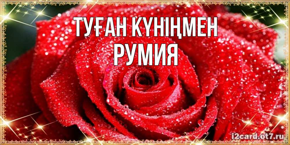 Күн сайын ашық хат с именем, Румия Туған күніңмен роса и роза. открытка с красивой розой Онлайн тегін жүктеп алу тілектері бар керемет карта 