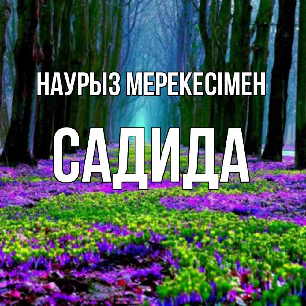 Күн сайын ашық хат с именем, САДИДА Наурыз мерекесімен фиолетовые цветы в лесу 1 Онлайн тегін жүктеп алу тілектері бар керемет карта 