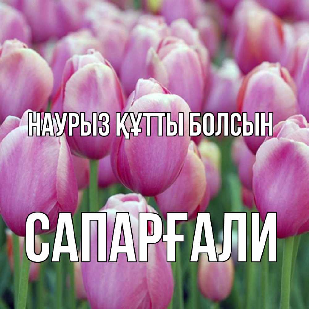 Күн сайын ашық хат с именем, САПАРҒАЛИ Наурыз құтты болсын на наурыз  день 3 Онлайн тегін жүктеп алу тілектері бар керемет карта 