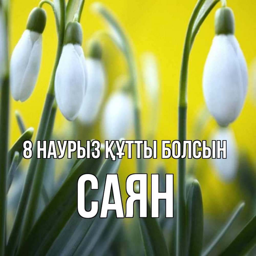 Күн сайын ашық хат с именем, САЯН 8 наурыз құтты болсын весенние цветы Онлайн тегін жүктеп алу тілектері бар керемет карта 