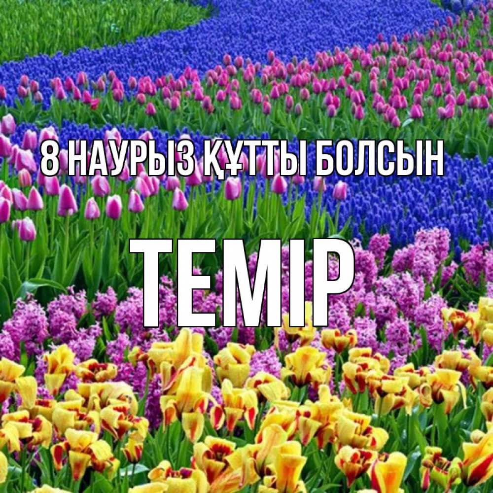Күн сайын ашық хат с именем, ТЕМІР 8 наурыз құтты болсын цветы Онлайн тегін жүктеп алу тілектері бар керемет карта 