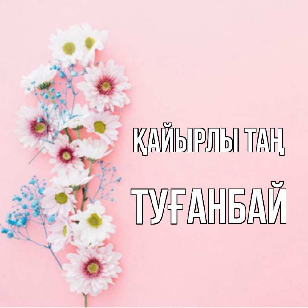 Күн сайын ашық хат с именем, ТУҒАНБАЙ Қайырлы таң цветы с подписью Онлайн тегін жүктеп алу тілектері бар керемет карта 
