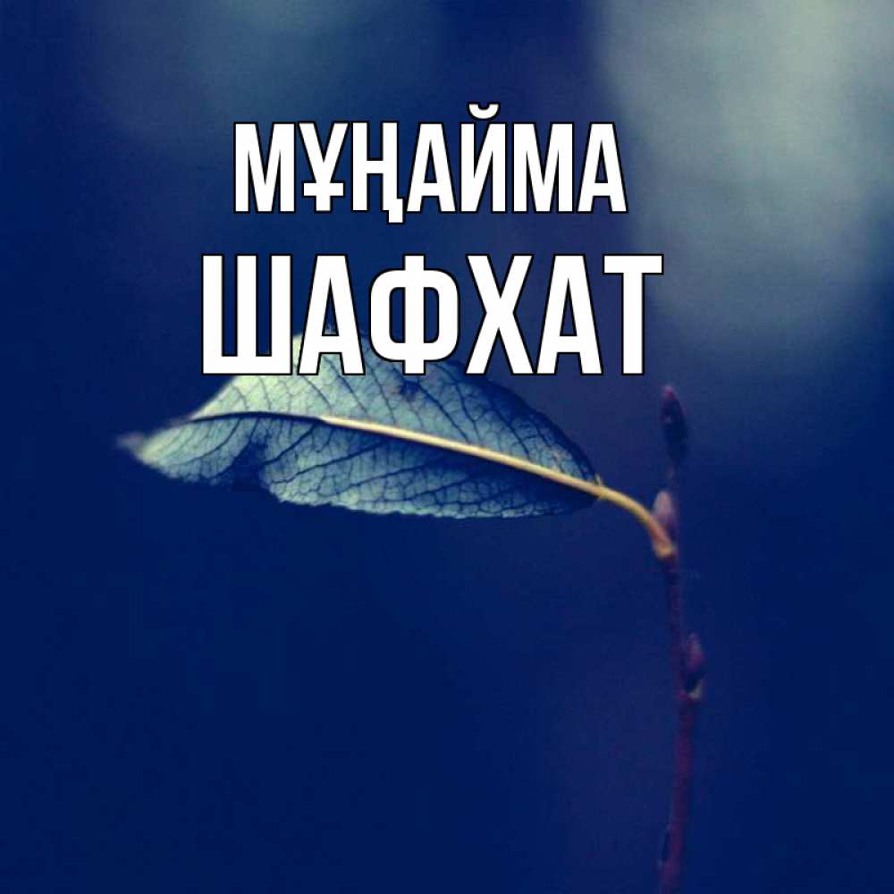 Күн сайын ашық хат с именем, ШАФХАТ Мұңайма растение Онлайн тегін жүктеп алу тілектері бар керемет карта 