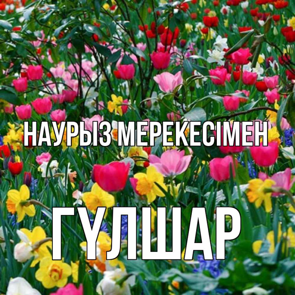 Күн сайын ашық хат с именем, ГҮЛШАР Наурыз мерекесімен с наурызом праздником весны поздравления для женщины Онлайн тегін жүктеп алу тілектері бар керемет карта 