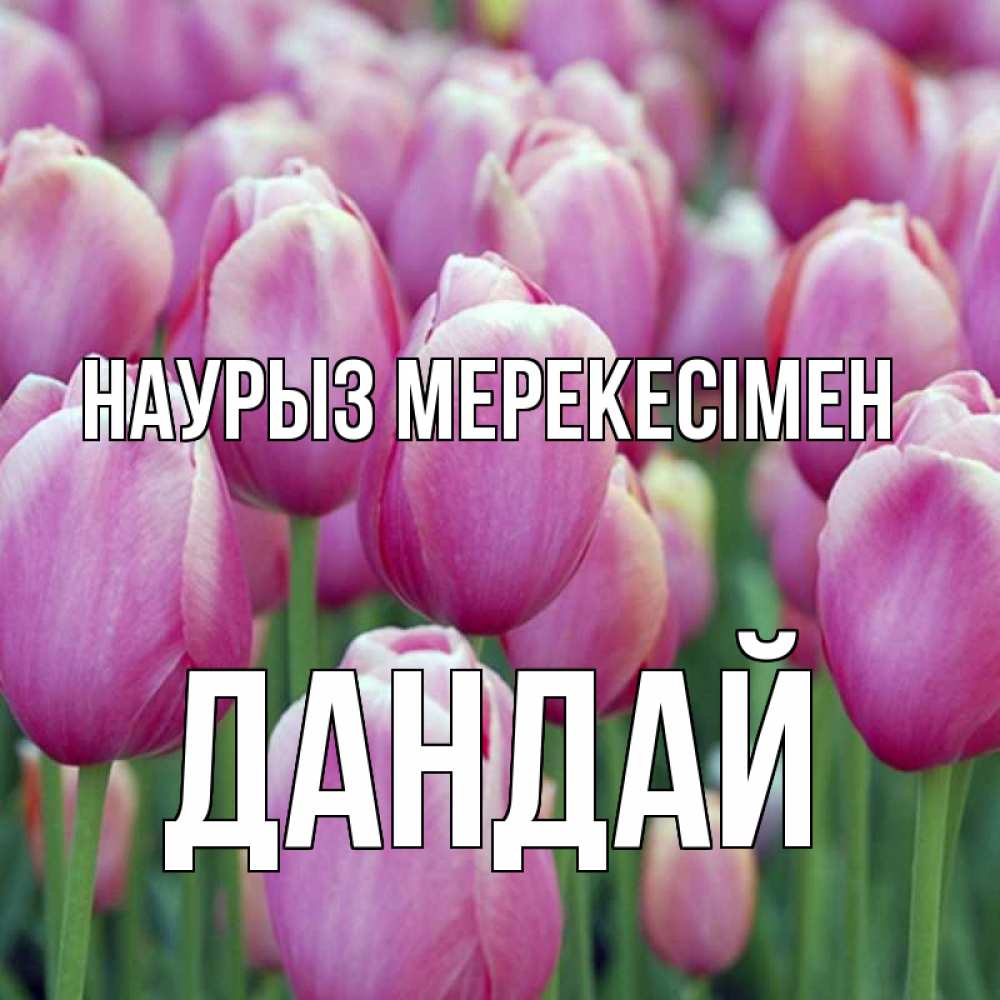 Күн сайын ашық хат с именем, Дандай Наурыз мерекесімен праздник весны наурыз 69 Онлайн тегін жүктеп алу тілектері бар керемет карта 