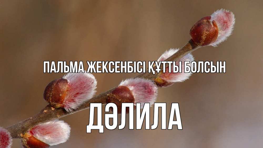 Күн сайын ашық хат с именем, ДӘЛИЛА Пальма жексенбісі құтты болсын верба Онлайн тегін жүктеп алу тілектері бар керемет карта 