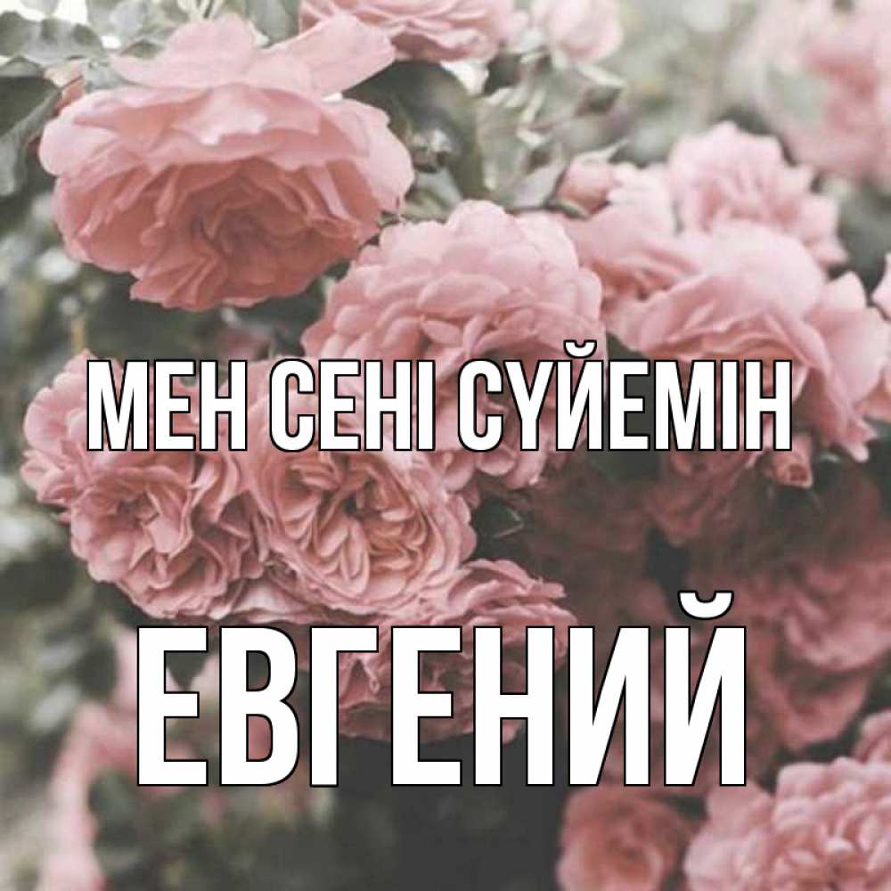 Күн сайын ашық хат с именем, Евгений Мен сені сүйемін розы 3 Онлайн тегін жүктеп алу тілектері бар керемет карта 