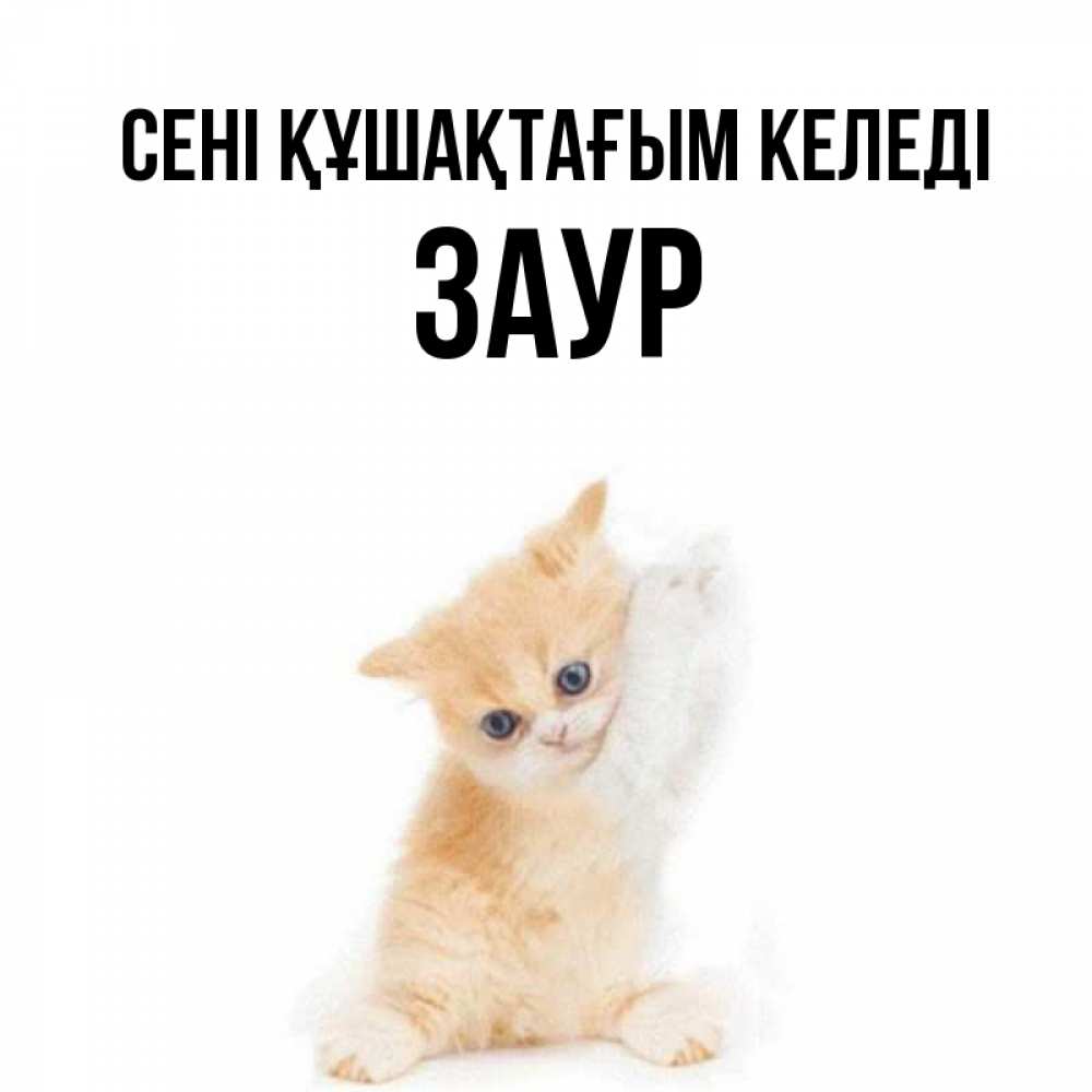 Күн сайын ашық хат с именем, Заур сені құшақтағым келеді я хочу очень скорее обнимаешек Онлайн тегін жүктеп алу тілектері бар керемет карта 