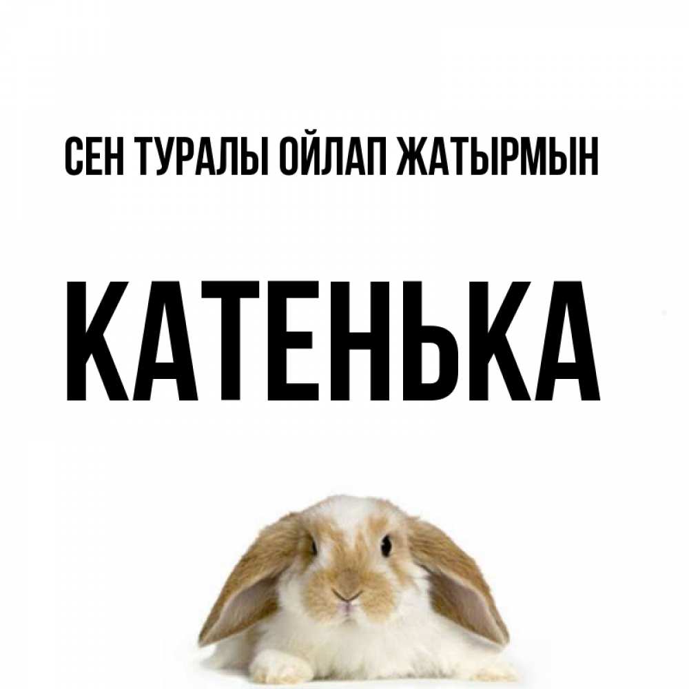 Күн сайын ашық хат с именем, Катенька Сен туралы ойлап жатырмын подписать своими руками онлайн Онлайн тегін жүктеп алу тілектері бар керемет карта 