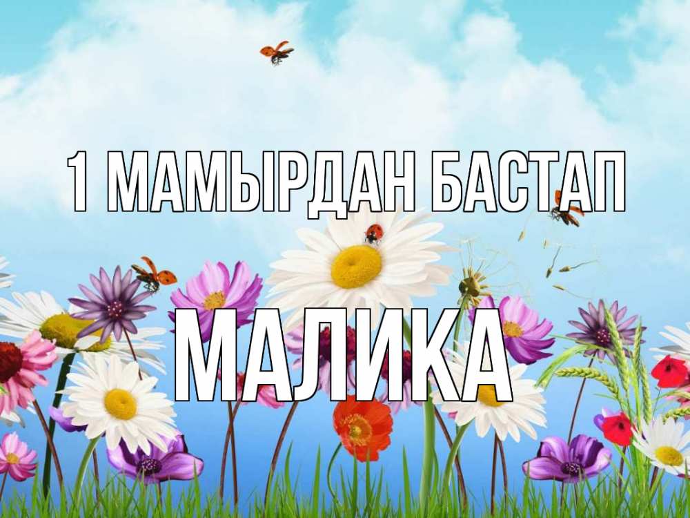 Күн сайын ашық хат с именем, Малика 1 мамырдан бастап С 1 мая Онлайн тегін жүктеп алу тілектері бар керемет карта 
